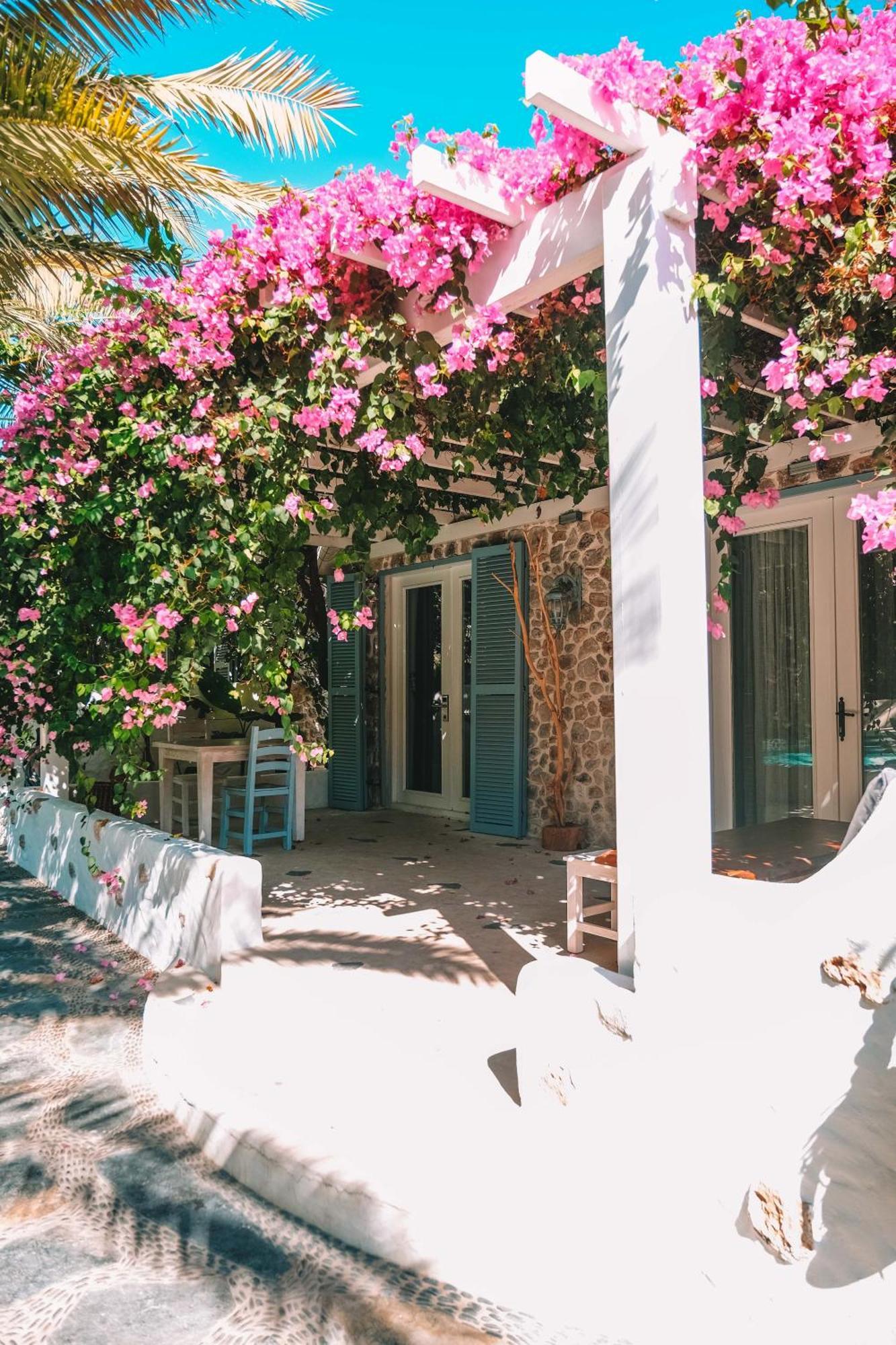 Luxury-pet Friendly Hotel *